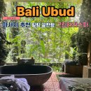 타라 | 발리 우붓 마사지 잘하는 곳 그린타라스파 내돈내산 후기, 가격