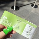 군민운수 | 엄마랑 담양 여행 2탄 : 죽녹원 주차 고양이 기념품 낙서