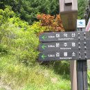 트리하우스 | 태백 검룡소 한강 발원지, 걷기 좋은 숲길 야생화 트레킹