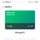 NH pay 머니 선물해주실분 +500원드려요 이미지