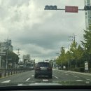 (유)진해택시 | 부산장롱면허운전연수 여기서 10시간 도로연수 추천~