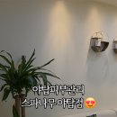 스파나무 야탑점