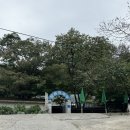 부여막국수 | 장원막국수 부여 혼자 다녀온 후기, 왕추천