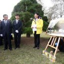 흙과소나무 이미지