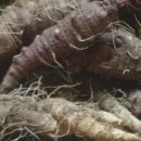 감로농장 이미지