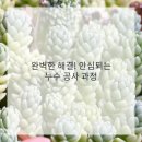 신시로10길 이미지