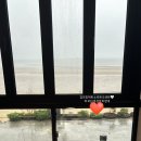 스테이더딜라잇프라이빗 이미지