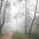 부소산성 남문지 이미지