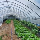 권관농장 이미지