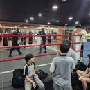 황준철TOP복싱클럽 이미지