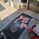 주왕산애플펜션 이미지