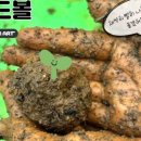 안녕봄미술교습소