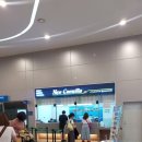 카멜리아 | 부산 후쿠오카 배편 뉴카멜리아호 직접 탄 후기!