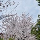 삼리2길 네이버블로그