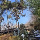 박터진 흥부네 이미지