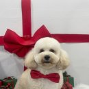 개린이살롱 이미지