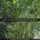 여기피씨 Daum카페