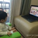 호비자동차 이미지