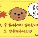 헤르츠삼오 이미지