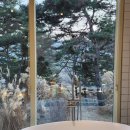 화순농협이서주유소 | 전남 화순 글램핑 독채 펜션 '자연의 미학' 301호 후기