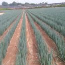 참새골농장 이미지