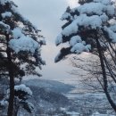 다두농장 이미지