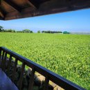 애원민박 이미지