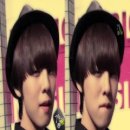 징 Daum카페