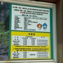 태하모노레일 | [울릉도 여행] 울릉도 가볼만한곳 도동항 신애분식 태하향목관광모노레일 향목전망대