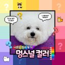 멍스널컬러