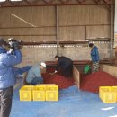 상대농원 이미지