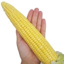 모단농장 이미지