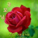 화요일 이미지