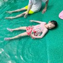 내포 신리천공원 이미지