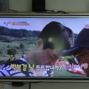 정동진패러마을