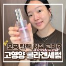 환절기 피부 뒤집어짐 원인 예방, 닥터헤디슨 바르는콜라겐세럼 리얼 후기
