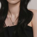 다옴드라이 이미지