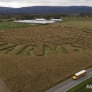 미로농장 이미지