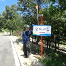 데미샘자연휴양림 이미지