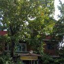 구일 가든 이미지