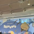 신화타운  올리브영 앞 | “올리브영 X 망그러진곰” 트렌드팟 홍대 &amp; 홍대타운 다녀왔곰 ʕっ•ᴥ•ʔっ