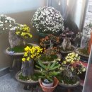 가야촌 오리마을 이미지