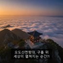 시에그린한국시화박물관 | 오도산전망대, 구름 위 세상이 펼쳐지는 순간?!