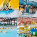 파크식당 이미지