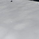 스피드셀프세차장 이미지