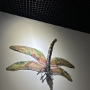 화순군립석봉미술관 | 화순 가볼만한 곳 화순군립최상준미술관 전시관람 후기