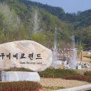 구미에코랜드산림문화관 티스토리