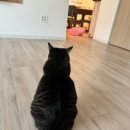 채령농장 이미지