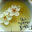 소근소근 이미지