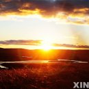 초원의 빛 이미지